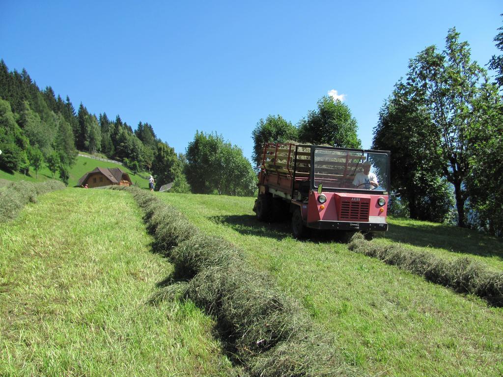 Ferienwohnung Lercherhof Feld am See Exterior foto